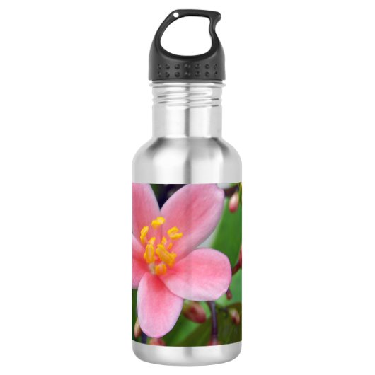 Jatropha Blume und Blume Edelstahlflasche (Vorderseite)