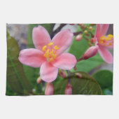 Jatropha Blume und Blume Küchentuch (Horizontal)