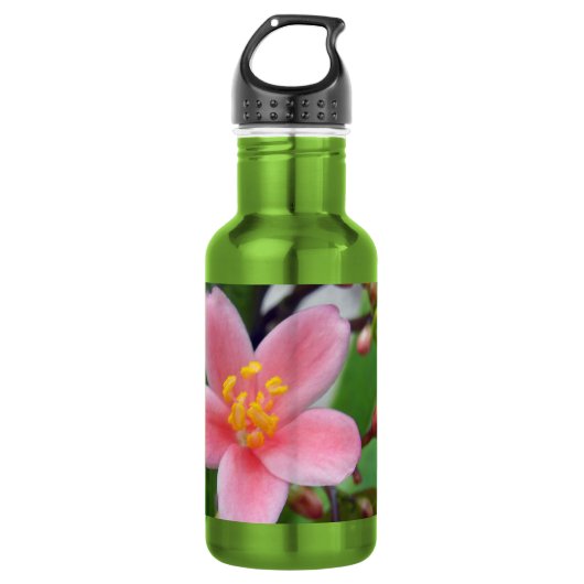 Jatropha Blume und Blume Trinkflasche (Vorderseite)