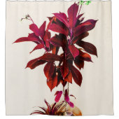 Jatropha-Pflanze in Deep Red Duschvorhang (Vorderseite)