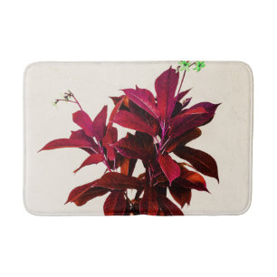 Jatropha-Pflanze in tiefrotem Badematte