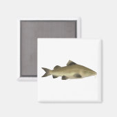 Jaú-Wels Magnet (Vorderseite/Rückseite)