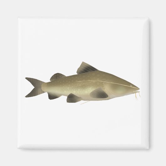 Jaú-Wels Magnet (Vorne)