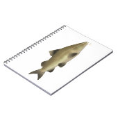 Jaú-Wels Notizblock (Linke Seite)