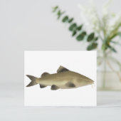 Jaú-Wels Postkarte (Stehend Vorderseite)