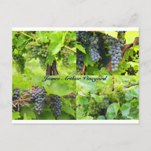 JAV Collage Postcard 2013 9 Postkarte