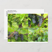 JAV Collage Postcard 2013 9 Postkarte (Vorne/Hinten)