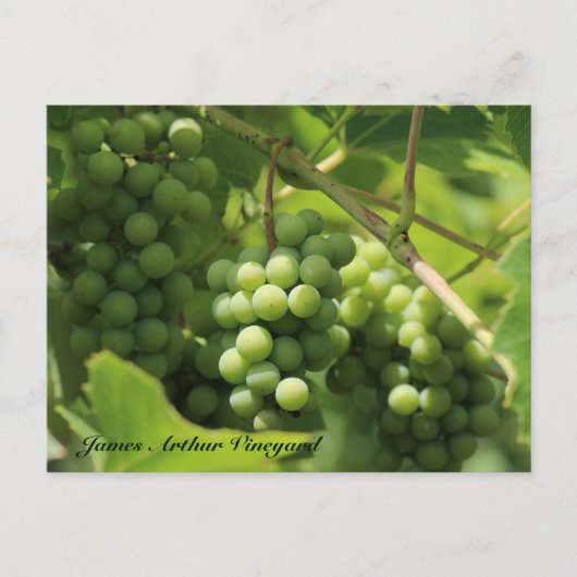 JAV Green. Postkarte St. Croix 10 (Vorderseite)