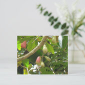 Java Apfelbaum Postkarte (Stehend Vorderseite)