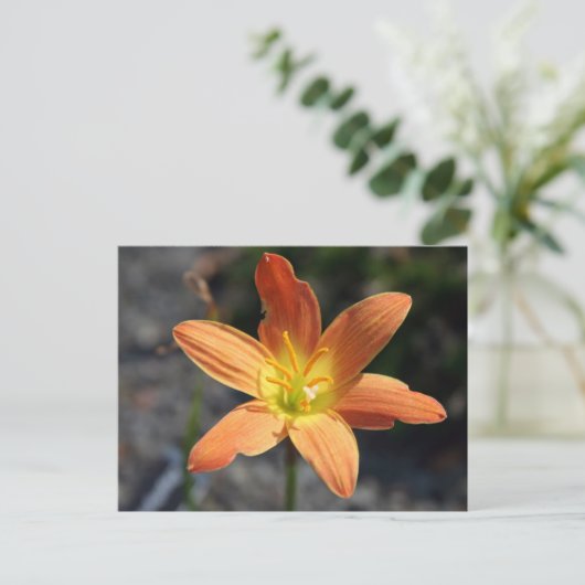 Java Postkarte (Stehend Vorderseite)