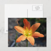 Java Postkarte (Vorne/Hinten)