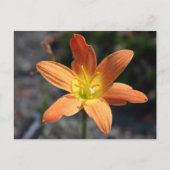 Java Postkarte (Vorderseite)