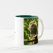 Java-Schrei-Tasse Zweifarbige Tasse (VorderseiteRechts)