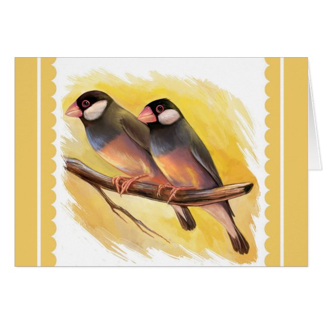 Java Sparrow fincht realistische Malerei (Vorderseite (Horizontal))