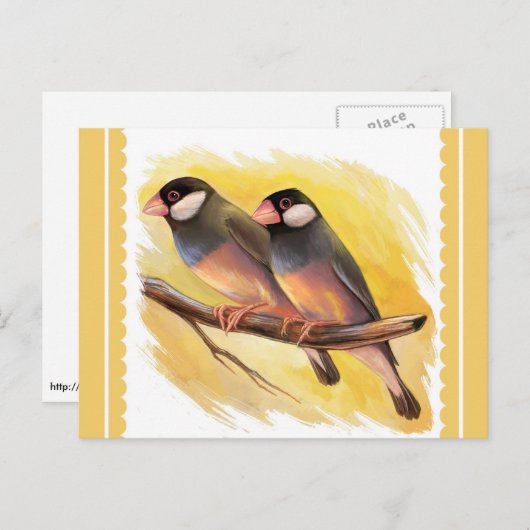 Java Sparrow fincht realistische Malerei Postkarte (Vorne/Hinten)