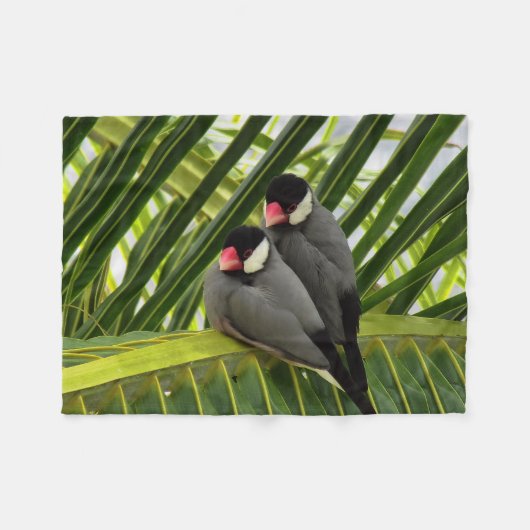Java Sparrow Fleecedecke (Vorderseite (Horizontal))