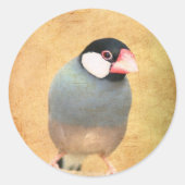 Java Sparrow Runder Aufkleber (Vorderseite)