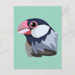 Java Sparrow - vereinfacht Postkarte