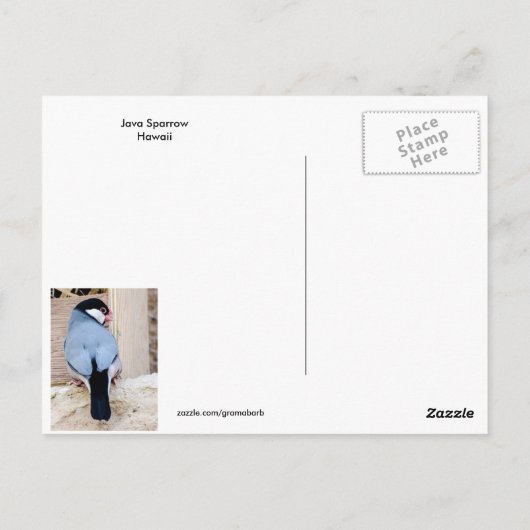 Java Sparrows Hawaii Postcard Postkarte (Rückseite)
