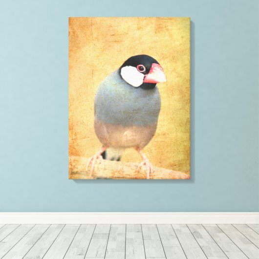 Java-Spatz Leinwanddruck (Insitu (Holzboden))