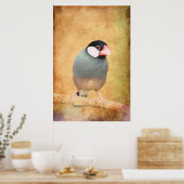 Java-Spatz Poster (Küche)