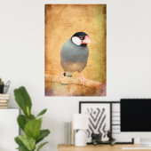 Java-Spatz Poster (Heimbüro)