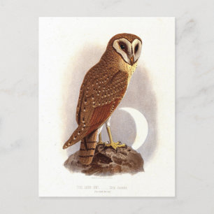 Java-Uhu Vintage-Illustration Postkarte