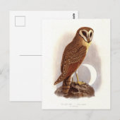 Java-Uhu Vintage-Illustration Postkarte (Vorne/Hinten)