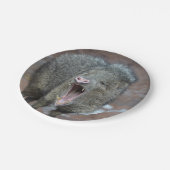 Javalina mit seinem Mund Wide Open Pappteller (Schrägansicht)