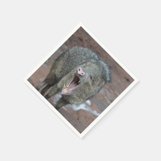 Javalina mit seiner Mundöffnung Serviette (Ecke)