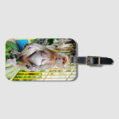 Javaneraffe Gepäckanhänger (Vorderseite (Horizontal))