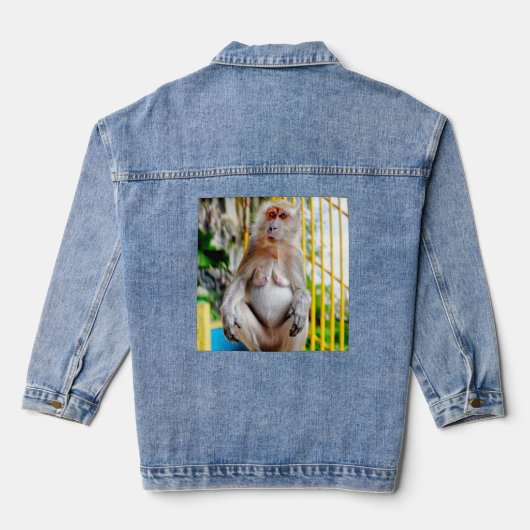 Javaneraffe Jeansjacke (Rückseite)