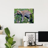 Javanischer Leopard, der auf einem Baumarm schläft Poster (Heimbüro)