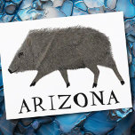 Javelina ARIZONA Wüste Wild Animal Peccary Nature Postkarte<br><div class="desc">Passen Sie diese niedliche javelina-Karte an,  indem Sie Ihren eigenen Text hinzufügen. Karo meinen Shop für mehr! Wenn du es kaufst,  danke! Stellen Sie sicher,  dass Sie ein Bild auf Instagram von ihm in Aktion teilen und mich @shoshannahscribbles markieren:)</div>