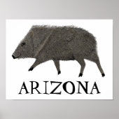 Javelina Desert Animals ARIZONA Art Poster (Vorne)