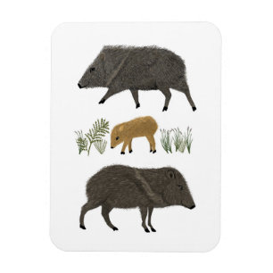 Javelina Familie Portrait Wüstentiere Magnet