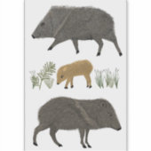 Javelina Familienwüstentiere Farbige Stifte Kunst Aufkleber (Vorderseite)