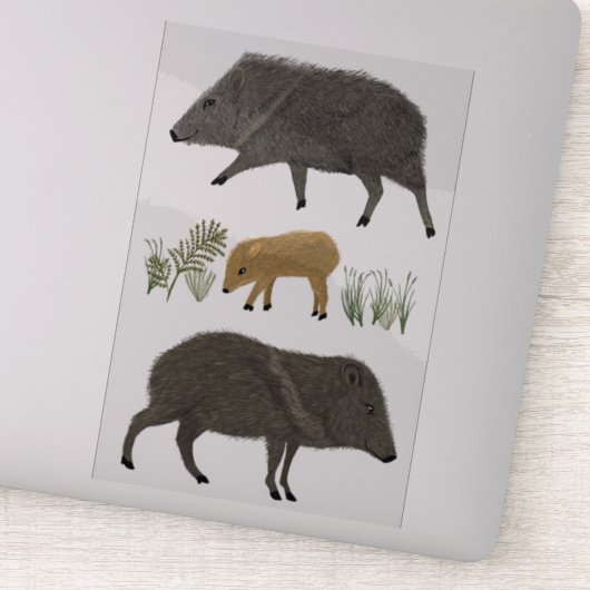 Javelina Familienwüstentiere Farbige Stifte Kunst Aufkleber (Detail)