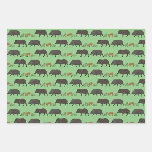 Javelina Family Portrait Wüste Tiere Muster Geschenkpapier Set (Vorderseite 3)