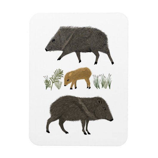 Javelina Family Portrait Wüstentiere Magnet (Vertikal)