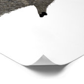 Javelina Family Portrait Wüstentiere Poster (Ecke)