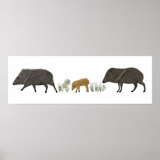 Javelina Family Portrait Wüstentiere Poster (Vorne)