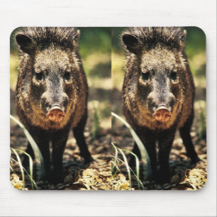 Javelina Mousepad