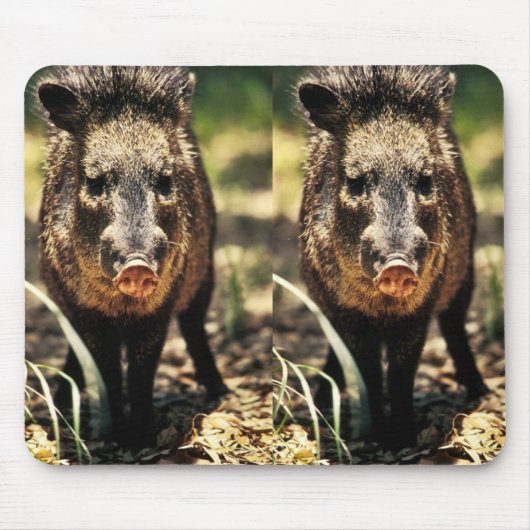 Javelina Mousepad (Vorne)