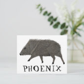 Javelina PHOENIX Wüste Wilde Tierart Postkarte (Stehend Vorderseite)