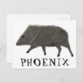 Javelina PHOENIX Wüste Wilde Tierart Postkarte (Vorne/Hinten)