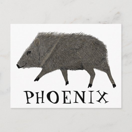 Javelina PHOENIX Wüste Wilde Tierart Postkarte (Vorderseite)