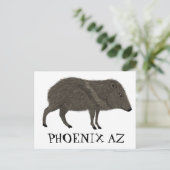 Javelina PHOENIX Wüste Wilde Tierart Postkarte (Stehend Vorderseite)