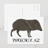 Javelina PHOENIX Wüste Wilde Tierart Postkarte (Vorne/Hinten)