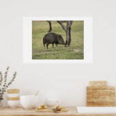 Javelina. Poster (Küche)
